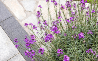 mowtivated-gallery-2025 (1)