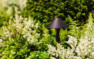 mowtivated-gallery-2025 (15)